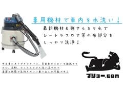 ��󥵡��Ǽ���ݤ��ȿ����������֤ǿ���Ѥ��¿��ζ����륫���ǥ��ߤ����⥹�å��ꡪ 3