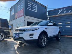 ��󥸥����С����������� �ץ쥹�ơ��������饹�롼�ա����������ʥӡ������������������ߥۥ����롡�ѥ�ꥢ������ 0551435A30241224W001 5