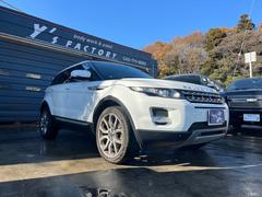 ��󥸥����С����������� �ץ쥹�ơ��������饹�롼�ա����������ʥӡ������������������ߥۥ����롡�ѥ�ꥢ������ 0551435A30241224W001 7