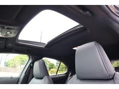 �������ץ���󡢥���롼�ա����ֻ��Τ���ʸ�Ǥ��륪�ץ����Ǥ� 3