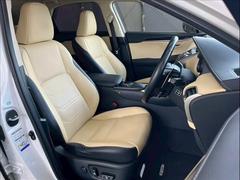 �������١�����쥶�������Ȥ���������鴶�����Ƥ��ޤ��� 5