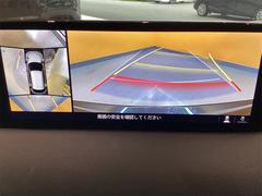 �������̷���˥����ۥ���ޤ������鸫�������Ƥ��뤫�Τ褦�ˡ�ľ��Ū�˼��Ϥξ������İ��Ǥ��������̷���˥������������Ǥ���֤Ǥ���Ϥ������ǳ�ǧ�Ǥ��ޤ��� 2