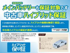 ����� �ϥ��֥�åɡ��ǥѥå��������������ʡ��֣ӣá���Ͽ������ 0706670A20251121T001 3