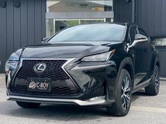 �����ܡ���ɧ��Ź�ϼ����������촰�����������ν������ָ����Υ��ե��ե������������Ǥ��� 5
