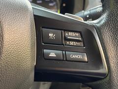 ������®�ɽ���ǽ�ե��롼������ȥ�����۹�®ƻϩ�Ǥ�Ĺ��Υ���Ԥ��ڤˡ�����ư��®�٤��ݤĥ��롼������ȥ����뤬�����ͷڸ������ƥ��Ϣ�Ȥ��������μ�ξ���Τ��Ƽִ֤��ݤĤ褦��®��Ĵ�ᤷ�Ƥ���ޤ����� 6