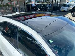 �ң� �ңأ��������ƥ��ݡ��ġ����ɸ��ǥ롡��ξ�ʼ�ɾ���ڡ���󥪡��ʡ� 0740041A30251109W001 5
