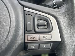 ������®�ɽ���ǽ�ե��롼������ȥ�����۹�®ƻϩ�Ǥ�Ĺ��Υ���Ԥ��ڤˡ�����ư��®�٤��ݤĥ��롼������ȥ����뤬�����ͷڸ������ƥ��Ϣ�Ȥ��������μ�ξ���Τ��Ƽִ֤��ݤĤ褦��®��Ĵ�ᤷ�Ƥ���ޤ����� 6