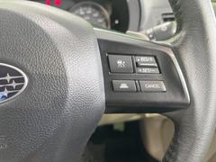 ������®�ɽ���ǽ�ե��롼������ȥ�����۹�®ƻϩ�Ǥ�Ĺ��Υ���Ԥ��ڤˡ�����ư��®�٤��ݤĥ��롼������ȥ����뤬�����ͷڸ������ƥ��Ϣ�Ȥ��������μ�ξ���Τ��Ƽִ֤��ݤĤ褦��®��Ĵ�ᤷ�Ƥ���ޤ����� 6