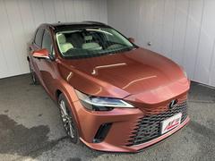 �ң� �ңأ�������ܡ��С������̡����ףġ��ǥ����ץ쥤�����ǥ������ե륻�� 0900204A30250226W001 4