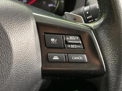 ������®�ɽ���ǽ�ե��롼������ȥ�����۹�®ƻϩ�Ǥ�Ĺ��Υ���Ԥ��ڤˡ�����ư��®�٤��ݤĥ��롼������ȥ����뤬�����ͷڸ������ƥ��Ϣ�Ȥ��������μ�ξ���Τ��Ƽִ֤��ݤĤ褦��®��Ĵ�ᤷ�Ƥ���ޤ����� 6
