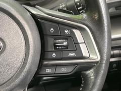 ������®�ɽ���ǽ�ե��롼������ȥ�����۹�®ƻϩ�Ǥ�Ĺ��Υ���Ԥ��ڤˡ�����ư��®�٤��ݤĥ��롼������ȥ����뤬�����ͷڸ������ƥ��Ϣ�Ȥ��������μ�ξ���Τ��Ƽִ֤��ݤĤ褦��®��Ĵ�ᤷ�Ƥ���ޤ����� 6