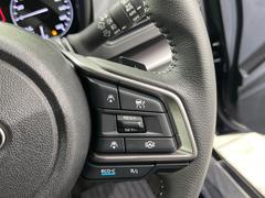 ������®�ɽ���ǽ�ե��롼������ȥ�����۹�®ƻϩ�Ǥ�Ĺ��Υ���Ԥ��ڤˡ�����ư��®�٤��ݤĥ��롼������ȥ����뤬�����ͷڸ������ƥ��Ϣ�Ȥ��������μ�ξ���Τ��Ƽִ֤��ݤĤ褦��®��Ĵ�ᤷ�Ƥ���ޤ����� 7