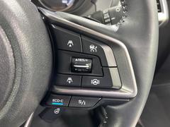 ������®�ɽ���ǽ�ե��롼������ȥ�����۹�®ƻϩ�Ǥ�Ĺ��Υ���Ԥ��ڤˡ�����ư��®�٤��ݤĥ��롼������ȥ����뤬�����ͷڸ������ƥ��Ϣ�Ȥ��������μ�ξ���Τ��Ƽִ֤��ݤĤ褦��®��Ĵ�ᤷ�Ƥ���ޤ����� 6