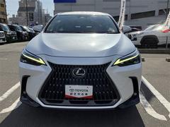���ҤȤꡢ���͡���ͧ�͡�����²�ʤɡ����Ϳ��Ǥ���Ϳ��Ǥ⤪�Ф������ڤ���ޤ������μ֤ǳڤ����ɥ饤�ӥ󥰥饤�դ�����ޤ��礦�� 2