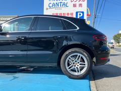 �ޥ��� �ޥ���ӡ����ףġ��ѥɥ륷�եȡ��ʥӡ��ԣ� 1101060A30250304W001 5