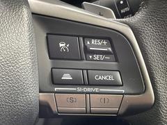 ������®�ɽ���ǽ�ե��롼������ȥ�����۹�®ƻϩ�Ǥ�Ĺ��Υ���Ԥ��ڤˡ�����ư��®�٤��ݤĥ��롼������ȥ����뤬�����ͷڸ������ƥ��Ϣ�Ȥ��������μ�ξ���Τ��Ƽִ֤��ݤĤ褦��®��Ĵ�ᤷ�Ƥ���ޤ����� 5