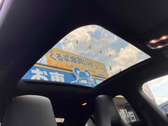 �ạ̃����饹 �ạ̃��������䡡���ͣǥ饤��ѥå��������ࡼ��롼�ա��إåɥ��åץǥ����ץ쥤���������ͣǣ�������� 1200512A30250831W001 5