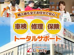 �ࡼ�� �إ�ߥƥåɣɣɡ��ӣ��ɣɣɡ��Хå�����顡���ꥢ��󥹥��ʡ��������ﳲ�ڸ������ƥ� 1301009A30251012W005 6