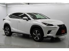 ���ҥ����ȥ������Ƭ�⡦�ܡ��ʥ�ʧ�����ס���Ĺ������ޤǲ�ǽ�ȤʤäƤ���ޤ������������Ǥ⹽���ޤ���ΤǤ����ڤˤ����̲������� 4