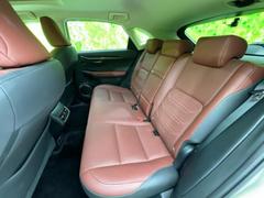 �ףţã��ңӤǤϳƾ����ʤ��緿��˥������Ѱդ��Ƥ���ޤ������䤹������̤Ǥ�ä��������κ߸ˤ������������ޤ���������Ź���Ԥ����Ƥ���ޤ��� 7