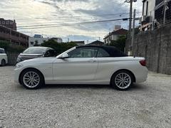 �����꡼�� �������饫�֥ꥪ�졡���ݡ��� 3000678A30250523W002 5