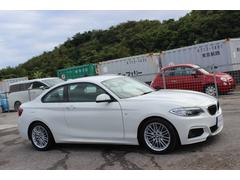 �����꡼�� �������饯���ڡ��ͥ��ݡ��ġ��ǥ����顼�֡����ڻ����졡�Хå������ 6300259A30241222W001 6