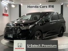 �ۥ�������ǥå����ϥ��֥�åɡ��塧�ȣţ֥��֥��롼�ȡ��ţء��ۥ�����󥷥󥰡���Ĺ��ǯ�ݾ�