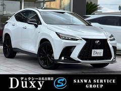 �쥯�������Σء��Σأ������衡�ƥ��ݡ��ġ��ࡼ��롼�ա��ǥ����륤��ʡ��ߥ顼