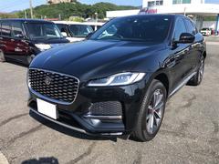 ���㥬�����ƥڥ������ӡ��ģ����������ףĥɥ饤�֥쥳���������Хå������