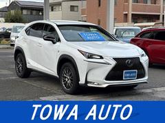 �쥯�������Σء��Σأ������衡�ƥ��ݡ��ġ��ϥ��֥�åɡ��ץꥯ��å��奻���եƥ�