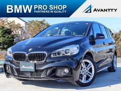 �£ͣס������꡼�����������饰���ĥ��顼���ͥ��ݡ��ġ������ƥ��֥��롼������ȥ����롡�ȣգ�