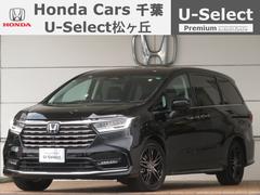 �ۥ�������ǥå����ϥ��֥�åɡ��塧�ȣţ֥��֥��롼�ȡ��ţء��ǥ⥫�����ȥ��󥷥�