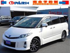 �ȥ西�������ƥ��ޥϥ��֥�åɡ������饹���ץ�ߥ��२�ǥ�����󡡥ե륻���ʥӡ��Хå������
