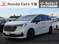 �ۥ�������ǥå����ϥ��֥�åɡ��塧�ȣţ֥��֥��롼�ȡ��ţإ֥�å����ǥ�����󡡥ۥ��ǧ����ż��ݾڣ�ǯ�ա�����ɥ饤�֥쥳������