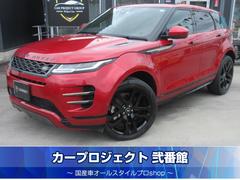 ���ɥ����С�����󥸥����С��������������ҡݥ����ʥߥå����ȣӣš��У����������ף�
