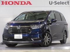 �ۥ�������ǥå��������֥��롼�ȡ��ۥ�����󥷥󥰽���������������꡼�ʥӣ£�����������ţԣãҥ�����󥪡��ʡ����۵ޥ֥졼�������饦��ɥӥ塼��˥���