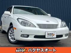 �ȥ西����������ࡡ�������ǡ���󥪡��ʡ������ԣ���������������������̵��