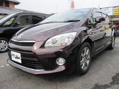 �ȥ西���ޡ����إ������������ǡ��磻�󿧡��ǽ���ǥ롡�ر��