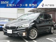 �£ͣס������꡼�����������䥰���ĥ��顼���饰���奢�꡼�������ʥӡ��Хå������