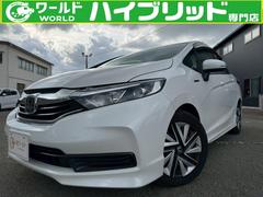 �ۥ��������ȥ롡�ϥ��֥�åɡ��ۥ�����󥷥󥰡�����������ա��ʥ�