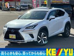 �쥯�������Σء��Σأ������衡�С������̡����ףġ��ر��