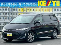 �����ƥ��� �����饹�����ޡ��ȡڸ�������ףġۡڥۥ磻�ȥ쥶�������ȡ�