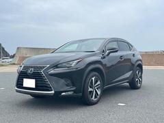 �쥯�������Σء��Σأ������衡�С������̡������ǥ롡��åɥ쥶��������