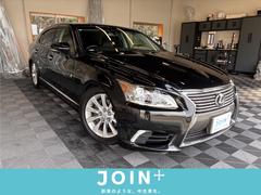 �쥯�������̣ӡ��̣ӣ��������С������á��ɥѥå����������ꥢ��󥹥��ʡ�