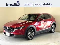 �ޥĥ����ãءݣ������ء��ץ������ƥ��֡��ġ���󥰥��쥯����󡡥ɥ饤�֥쥳������