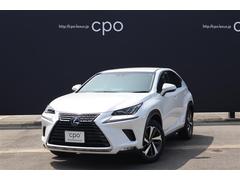 �쥯�������Σء��Σأ������衡�ɥѥå��������������������ߥۥ����롡�إåɥ��åץǥ����ץ쥤