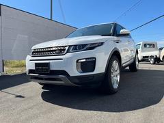 ���ɥ����С�����󥸥����С����������������ɥХ�ơ������ǥ�����󡡥��ޡ��ȥ������ץå��她�����ȡ����롼������ȥ�����