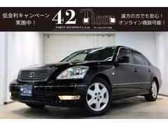 �ȥ西�����륷�����û��͡��ƥѥå�����������ƥꥢ���쥯����󡡥���롼��