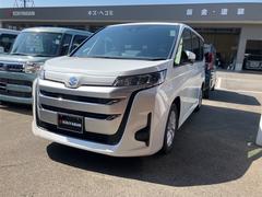 �����������ǥ����ǡ��ţԣá����ꥢ��󥹥��ʡ��������ȥ��롼������ȥ�����