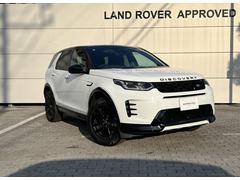 ���ɥ����С����ǥ������Х꡼���ݡ��ġ������ʥߥå����ӣš��ģ��������ǥ������륿����
